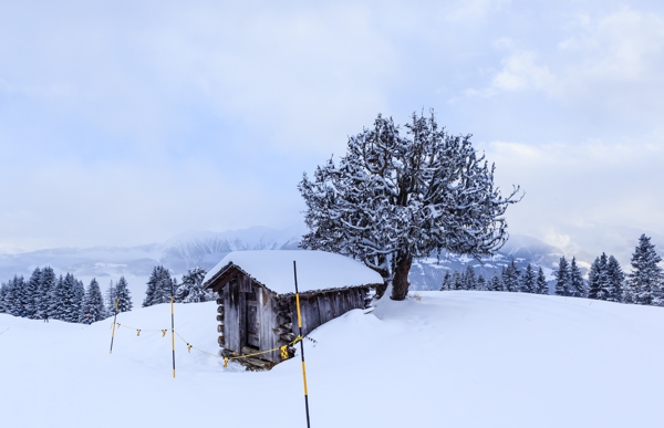 Laax